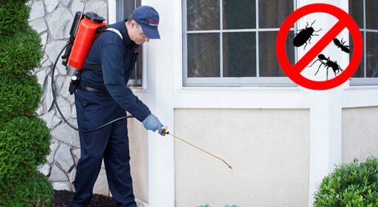 Lice Fare İlaçlama böcek ilaçlama ve haşere kontrolü — ilaclama-tr.com
